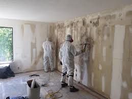 Best Residential Mold Inspection & Testing in Lanark, IL